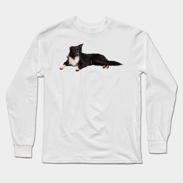 border collie Long Sleeve T-Shirt by 1STunningArt